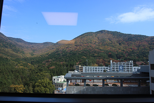 Пейзаж из окна больницы